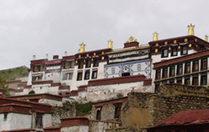 banner-s1.jpg